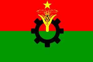 bnp-flag8