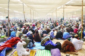 image_1515_187296-300x198