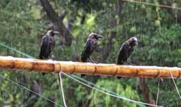 8849.jpg_10047_0.8849