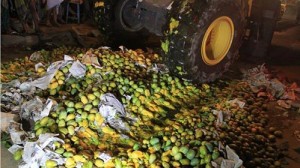 10402613_746198245444123_4588264654850720707_n