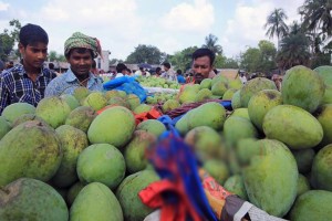 16_Mango_Kanshat_170613