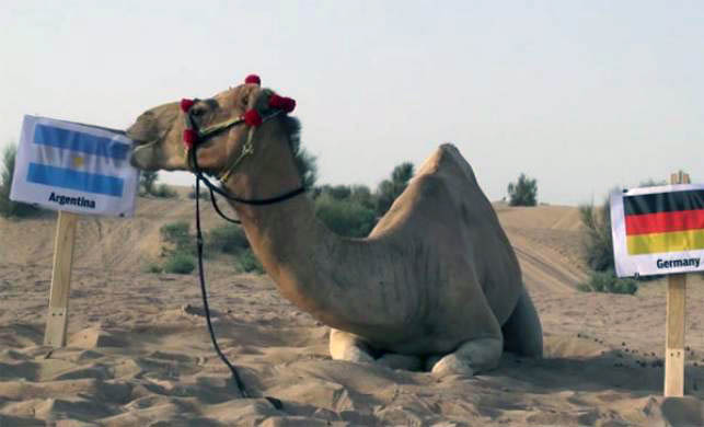 8afebe6cb025b863f0afb1b6b3eacbeb-camel-1