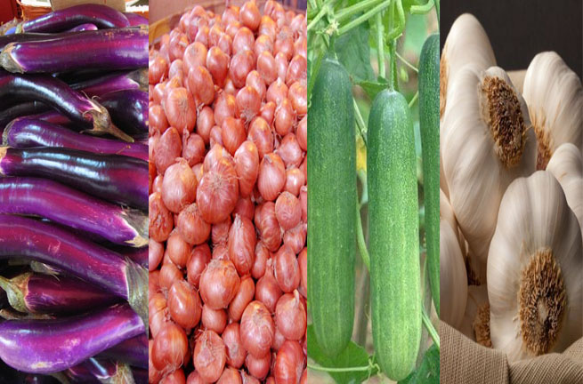 HK_SYP_Best_of_Best_Vegetable_purple_Eggplant_Aug-2012