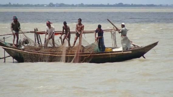 full_516061530_1398937246