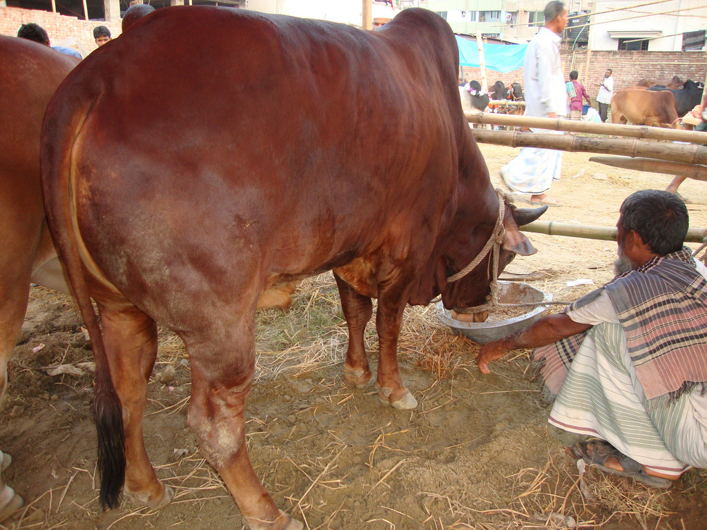 5342655890_34042115c9_b