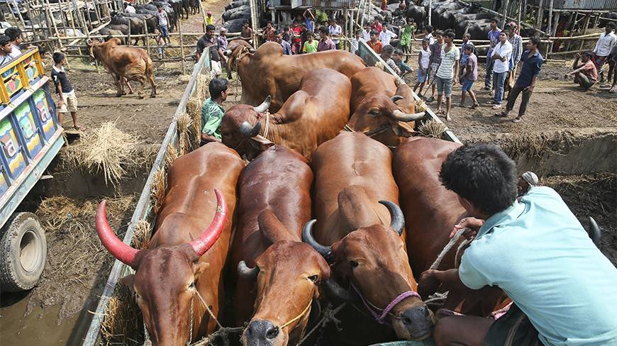 6-20131007_Syed-Zakir-Hossain0410-copy