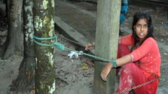 full_453998_1411641118