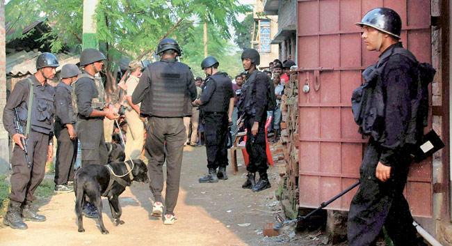 nia-bengal-2_650_103014031415
