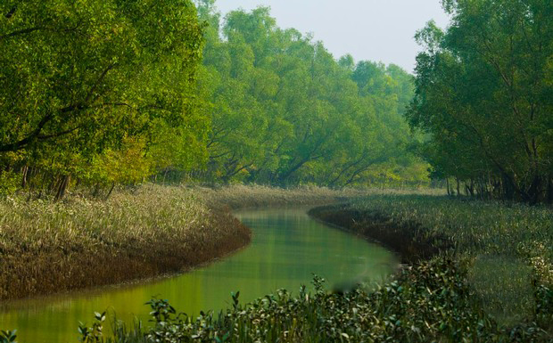 Nijhum+Dwip_Nijhum+Dweep_0010