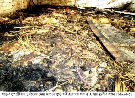 bogra pic 09-12-14_60844