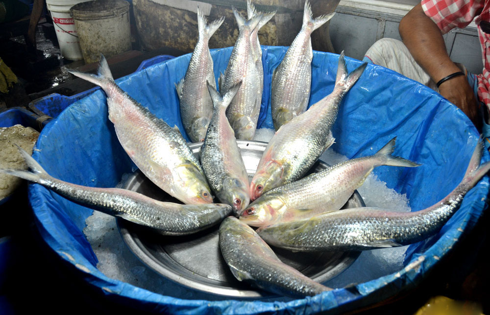 12-04-15-Ilish_Santinagar Bazar-7