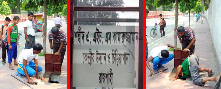 zoo_picture_708698231