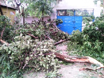 Dinajpur-Pic2