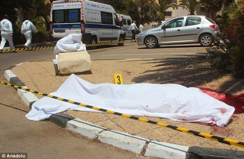 2A01722D00000578-3140454-image-a-14_1435339460757