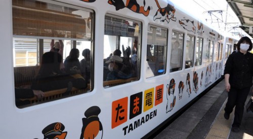 japan_station_cat_tama_899064273