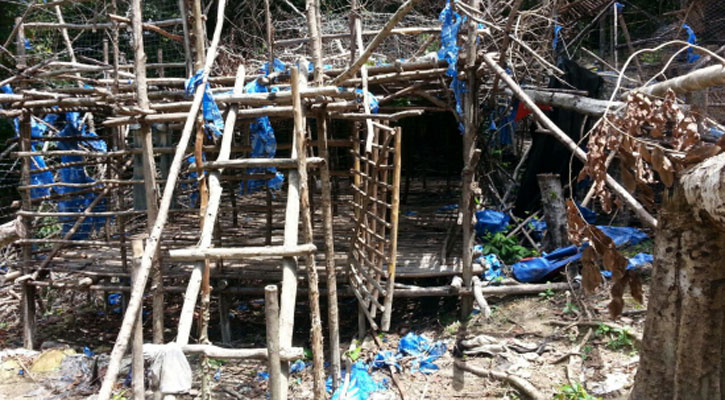 p1_lead_sb_863356337