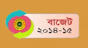 budget1-300x165